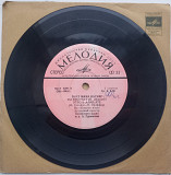 Поет Мина Вагнер - Ты виноват. (7") 1976