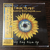 Pink Floyd Featuring Andriy Khlyvnyuk – Hey Hey Rise Up (Японія)