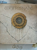 Whitesnake