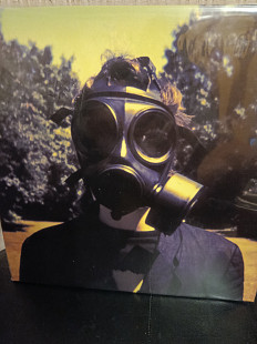 Steven wilson Insurgentes