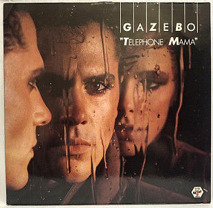 Gazebo - Telephone Mama - 1984. (LP). 12. Vinyl. Пластинка. Europe.