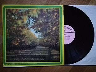 Трио современной джазовой музыки-В. Ганелин, В. Чекасин, В. Тарасов (лам. техн. конв.)-Ex.+, Мелодія