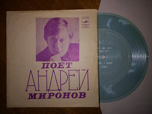 Андрей Миронов (1)-NM-, флексі-Мелодія