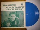Юрий Левитин-Песни и музыка из телеповести Такая короткая долгая жизнь (1)-NM, флексі-Мелодія