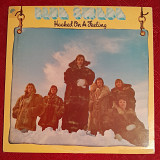 BLUE SWEDE - HOOKED ON A FEELING 1974 ALBUM LP