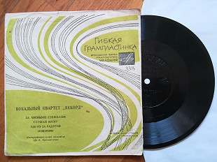 Вокальный квартет Аккорд-За лесными стежками (1)-VG, флексі-Мелодія