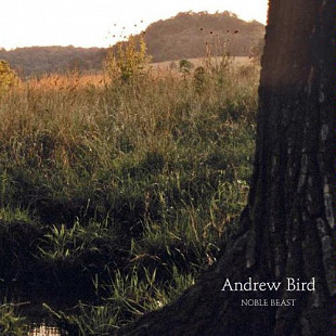 Andrew Bird – Noble Beast ( USA ) Digisleeve
