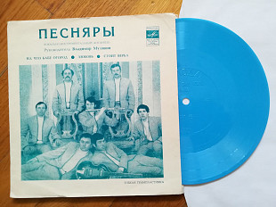 Песняры-На что бабе огород (2)-NM+, флексі-Мелодія