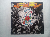 Rose Tattoo 80 US orig. Vinyl Nm