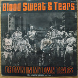 Blood Sweat Tears Nuclear Blues UK first press vinyl
