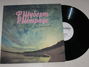 Пластинка Днепропетровский симфонический оркестр, Bячecлaв Блинов - ШУБЕРТ * ШТРАУС (Аудіо Україна)