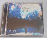 Howling In The Fog - Evolve