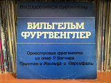Вильгельм Фуртвенглер , фрагменты