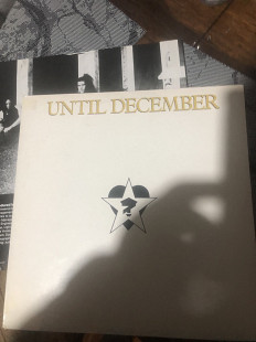 Until december- until december- vg+/ vg+, vg (конв/пл)без ех