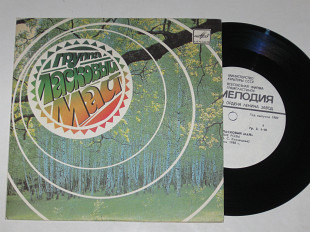 Пластинка Юрий Шатунов и группа ''Ласковый май'' - БЕЛЫЕ РОЗЫ * СЕДАЯ НОЧЬ / музыка Кузнецова (1989)