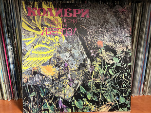 Бердз Колибри