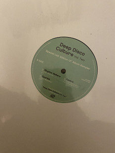 Rare Cisco Sampler: Deep Disco Culture Vol. Two (Suss'd Records)