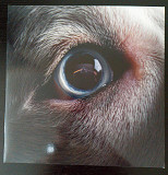 Roger Waters – The Dark Side Of The Moon Redux