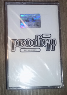 The Prodigy – Experience