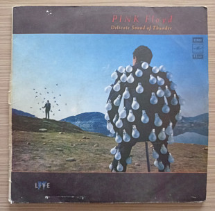 Pink Floyd ‎– Delicate Sound Of Thunder