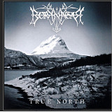 CD Borknagar - True North