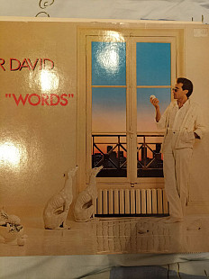 Fr david.words