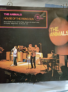 Animals.house of the rising sun