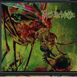 CD Psychotic Waltz - Mosquito