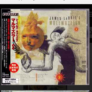 CD James LaBrie's Mullmuzzler - Mullmuzzler 2