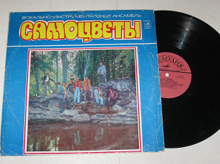 Пластинка Виа ''Самоцветы'' - ГОРЛИЦА * За того парня * Чернобровая дивчина * Увезу тебя я в тундру