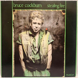 Bruce Cockburn - Stealing Fire - 1984. (LP). 12. Vinyl. Пластинка. Germany.