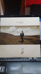 Tanita Tikaram - ancient heart