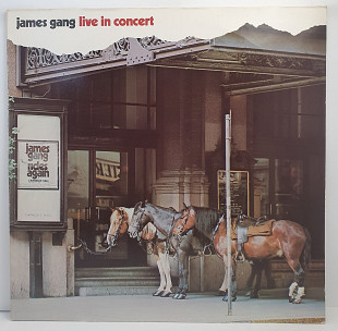 James Gang – Live In Concert LP 12" (Прайс 45264)