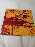 Wishbone ash/pilgrimage/1971