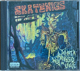 Skatenigs – «What A Mangled Web We Leave»