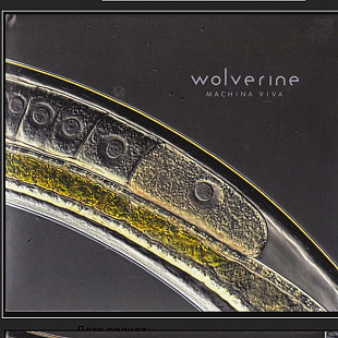 CD Wolverine - Machina Viva