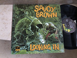 Savoy Brown - Looking In ( USA ) LP
