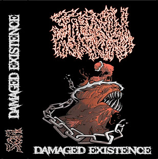 S.O.M. - Damaged Existence (cs, 2021)