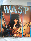 Wasp inside the electric circus