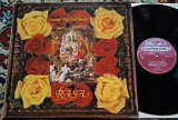 Rasa – Coming Into Full Bloom 1979 (Sweden) NM