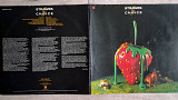 STRAWBS ( PROG ROCK ) CHOISE ( A&M 88 249 ET A1/B1 ) G/F 1974 GER