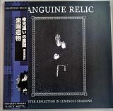 Sanguine Relic - Bitter Reflection In Luminous Shadows