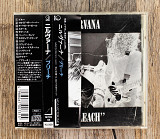 Nirvana - Bleach (Японія)