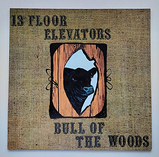 13th Floor Elevators – Bull Of The Woods