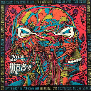 King Gizzard And The Lizard Wizard – Live In Milwaukee '19