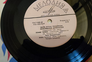 Тріо бандуристок(Голенко Софієнко Гриценко) Над річкою бережком