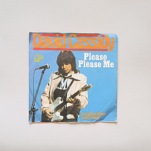 David Cassidy - Please Please Me (миньон 7)