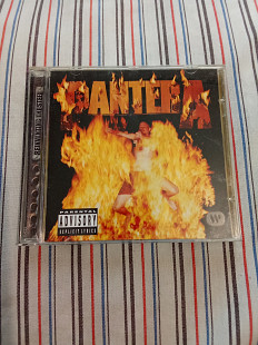 Pantera/reinventing the steel/2000
