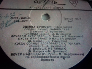 Зденка Вукович/ тень твоей улыбки гост68