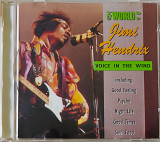 Jimi Hendrix - Voice in the Wind (1993)